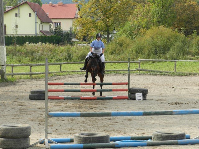 Babie Lato 2016
